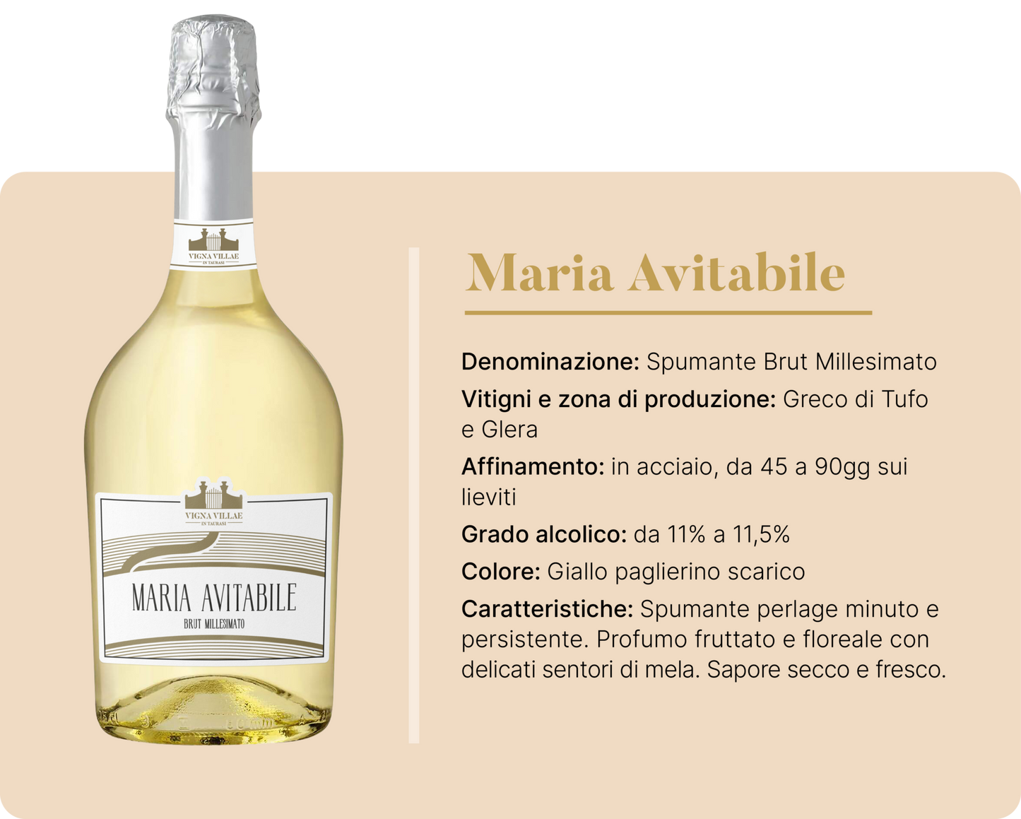 Spumante Brut Millesimato